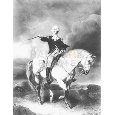 รูปม้า รูปม้า