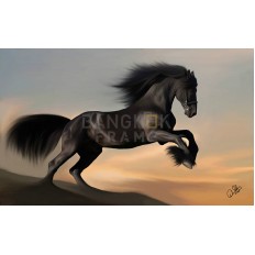 รูปม้า รูปม้า