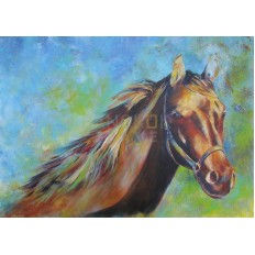 รูปม้า รูปม้า