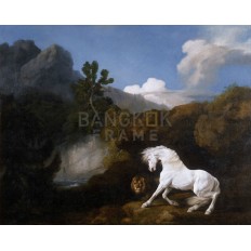 รูปม้า รูปม้า