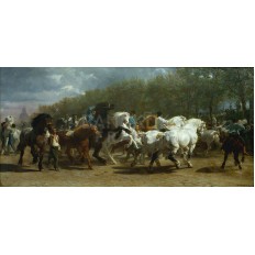 รูปม้า รูปม้า