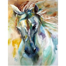 รูปม้า รูปม้า