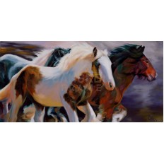 รูปม้า รูปม้า