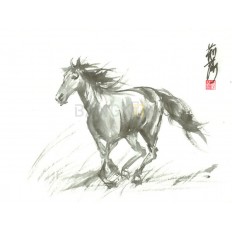 รูปม้า รูปม้า