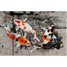 รูปปลา รูปปลา