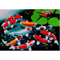 รูปปลา รูปปลา