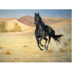 รูปม้า รูปม้า