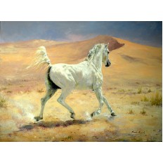 รูปม้า รูปม้า