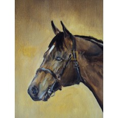 รูปม้า รูปม้า