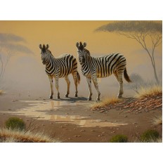 รูปม้า รูปม้า