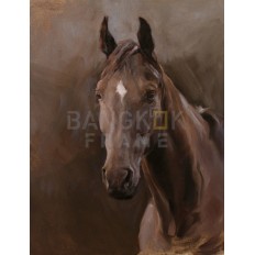 รูปม้า รูปม้า