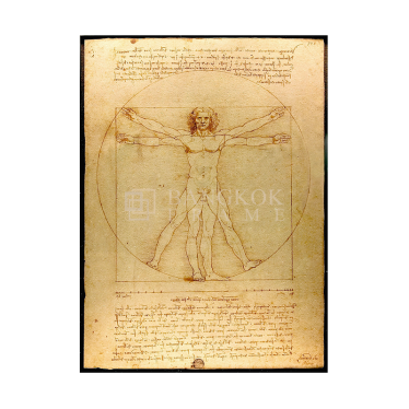 VITRUVIAN MAN โดย ลีโอนาโด ดาวินชี