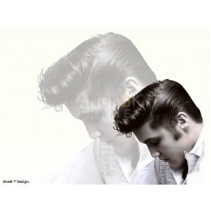 เอลวิส เพรสลีย์ เอลวิส เพรสลีย์