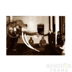 ในหลวงรัชกาลที่9-พระบาทสมเด็จพระปรมินทรมหาภูมิพลอดุลยเดช