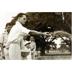 ในหลวง ในหลวง