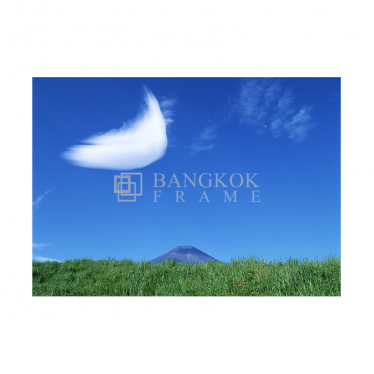 ทุ่งหญ้า