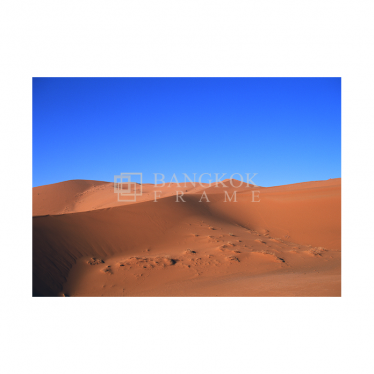 ทะเลทราย