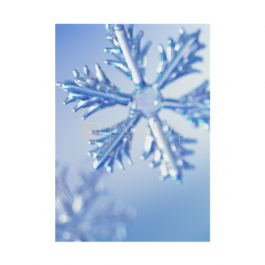 เกล็ดหิมะ