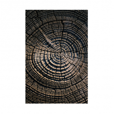 ลำต้น ต้นไม้