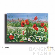 ภาพพิมพ์โปสเตอร์จากเยอรมัน ขนาดขอบนอก70x100ซม. 