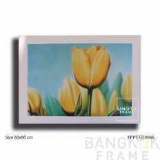 ภาพพิมพ์โปสเตอร์จากเยอรมัน ขนาดขอบนอก60x80ซม. ขอบใน48x68ซม. ภาพพิมพ์โปสเตอร์จากเยอรมัน ขนาดขอบนอก60x80ซม. ขอบใน48x68ซม.