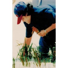 สมเด็จพระเทพ รัตนราชสุดา สยามบรมราชกุมารี