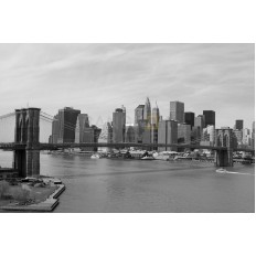 นิวยอร์คซิตี้