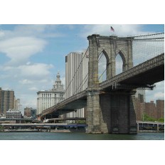 นิวยอร์คซิตี้