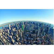 นิวยอร์คซิตี้