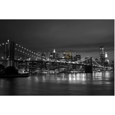 นิวยอร์คซิตี้