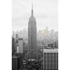 นิวยอร์คซิตี้