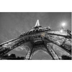 ปารีส ไอเฟลทาวเวอร์