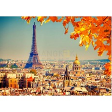 ปารีส ไอเฟลทาวเวอร์