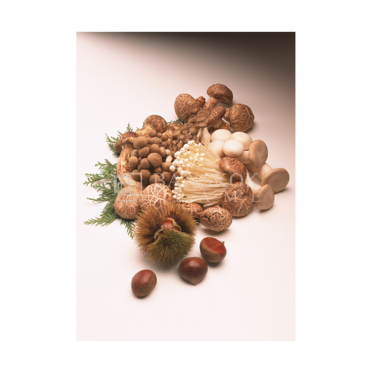 ผัก ผลไม้