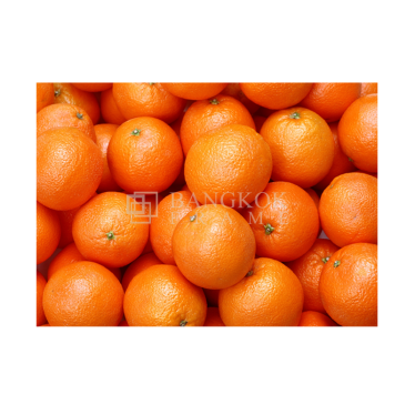 ส้ม ผลไม้