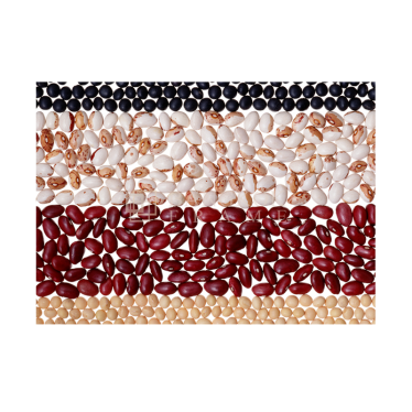 ผัก ผลไม้